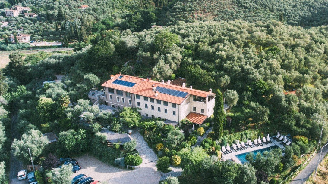 Bird's Eye View, Property, Plant, Building, Tree