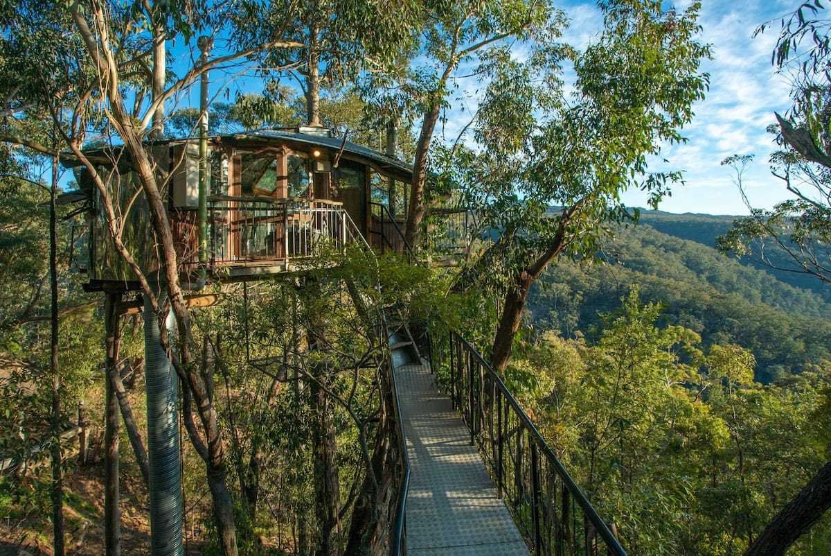 Blue Mountains Tree House, Sky, Plant, Cloud, Natural landscape, Tree, Wood