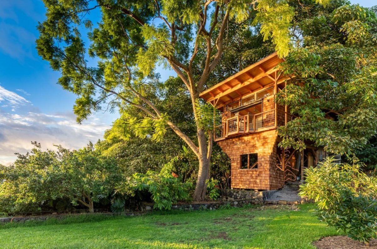 Hawaiian Treehouse, Plant, Sky, Building, Cloud, Window, Natural landscape, Tree