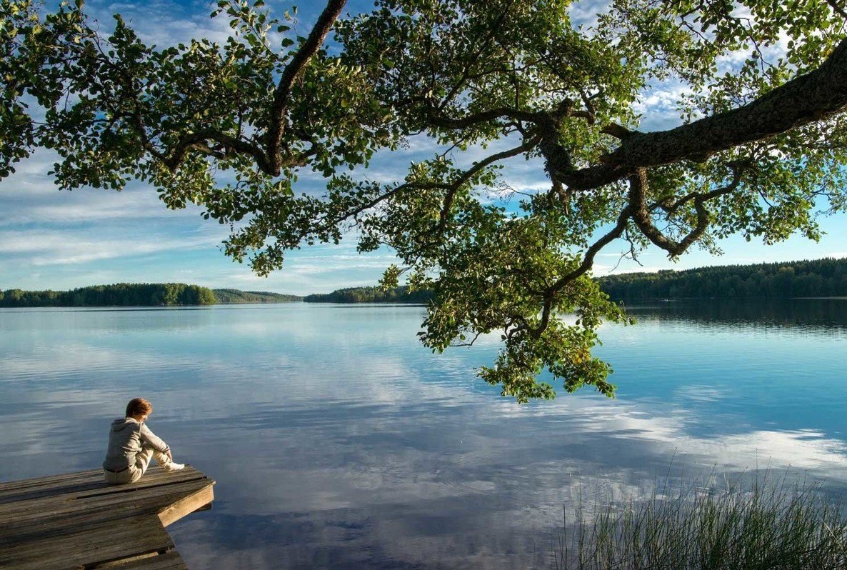 Water, Water, Sky, Cloud, Plant, Natural landscape, Azure, Lake, Branch, Tree