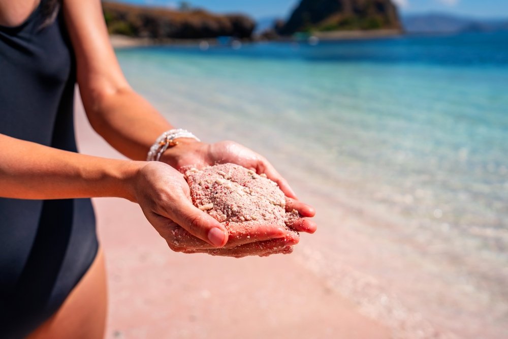 Beach, Water, Sky, Azure, People in nature, People on beach, Beach, Body of water, Gesture