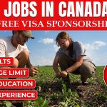 Farm Jobs in Canada for Foreigners with Visa Sponsorship 2024